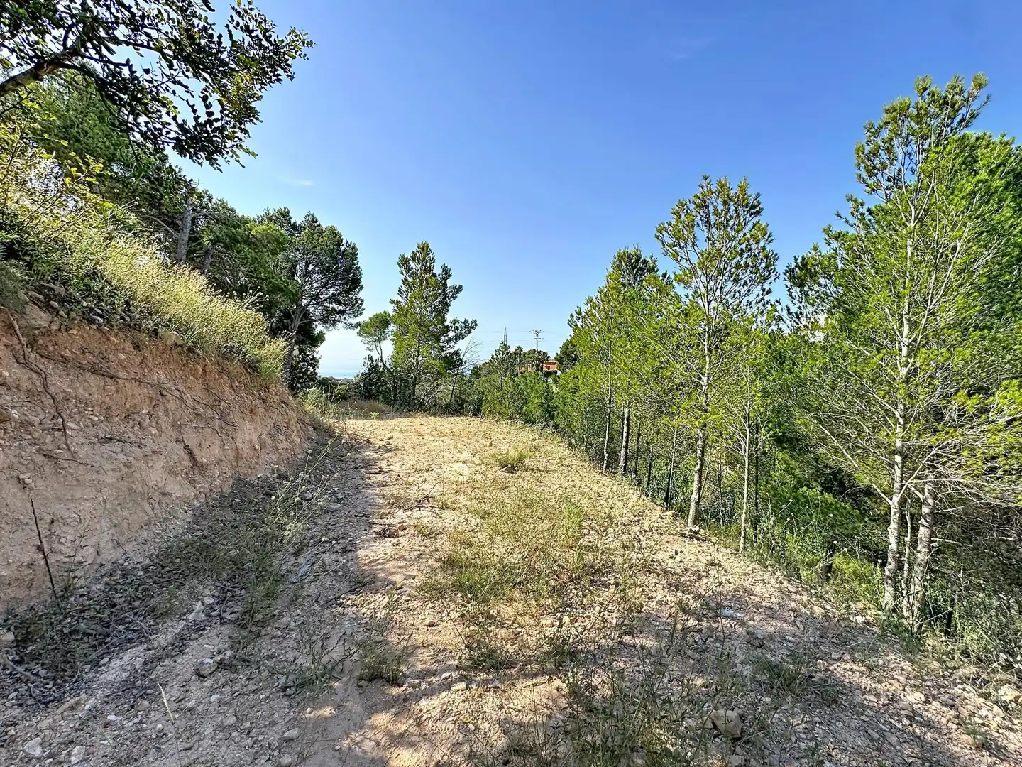 Terreny residencial en venda a Altea la Vella, imagen 3