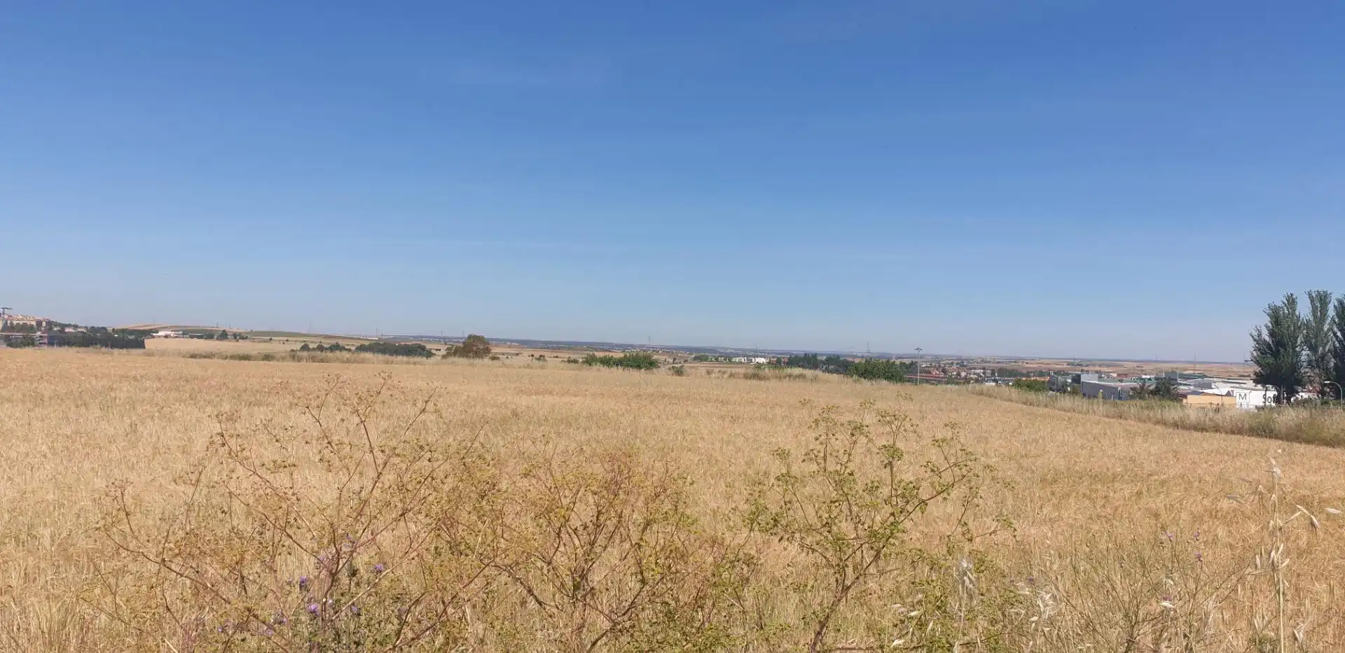 Rural land for sale in Villares de la Reina, imagen 4