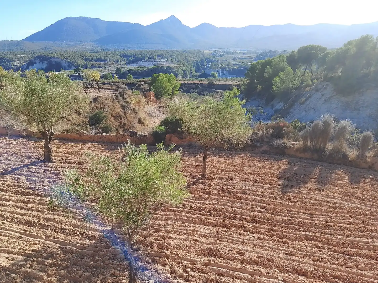 Terreny rústic en venda a Tibi, imagen 2