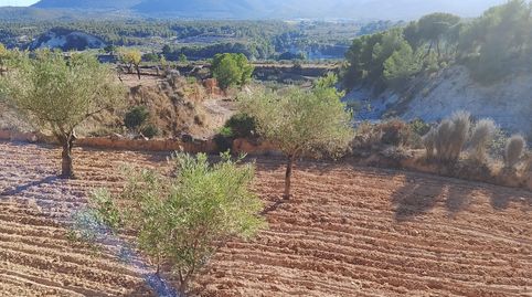 Venta de finca rustica para construir una vivienda unifamiliar u organizar un proyecto turístico, immagine 2
