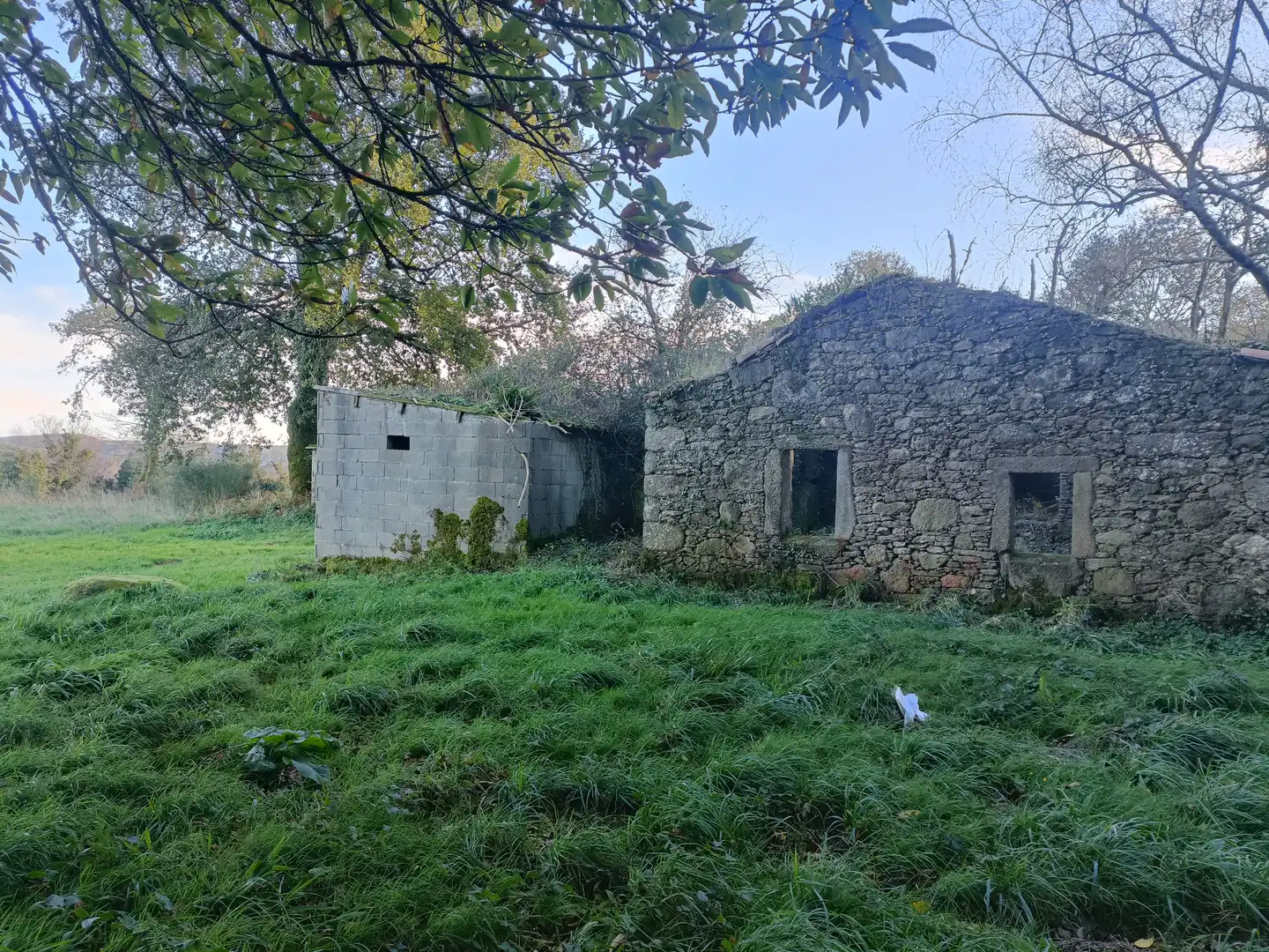 House with garden for sale in Curtis, imagen 7