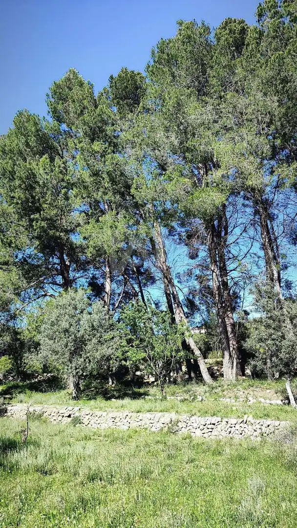 Exterior view of Residential for sale in Murla