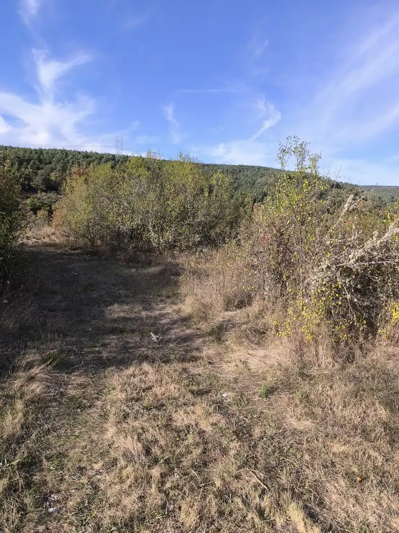Casa con jardín en venta en Valdegovia / Gaubea, imagen 5