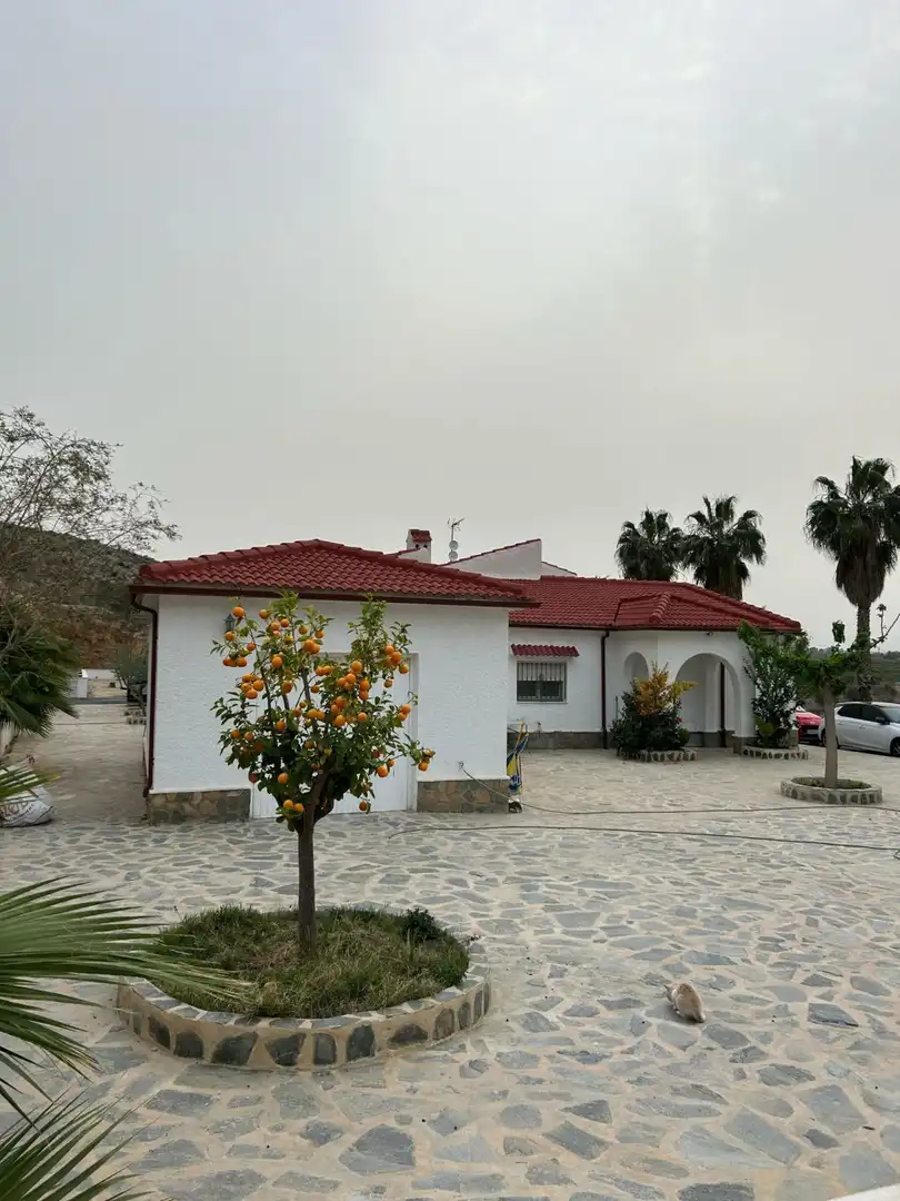 Vista exterior de Finca rústica en venda en Benferri amb Terrassa i Balcó