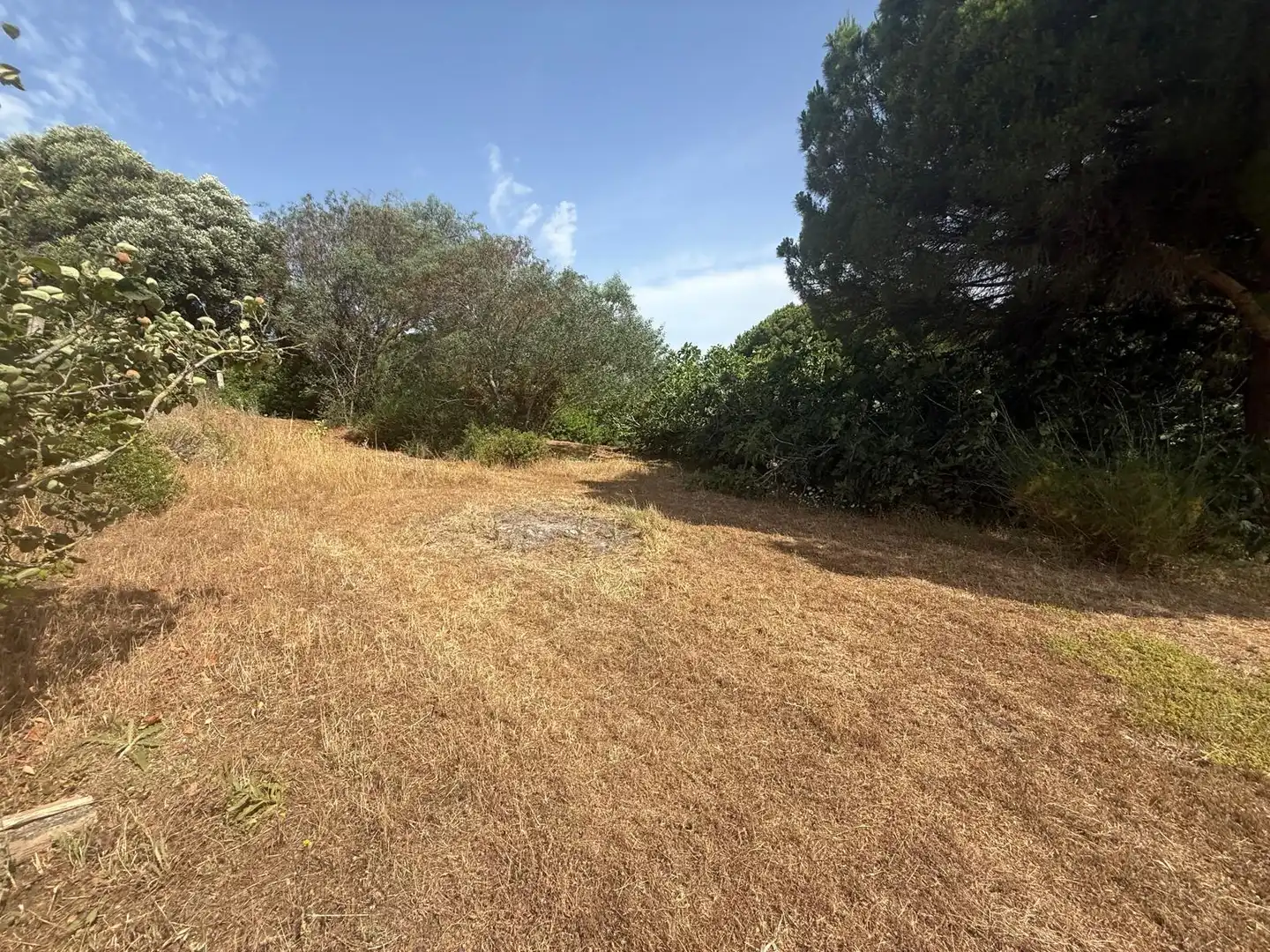 Casa o xalet en venda en Vejer de la Frontera amb Aire condicionat, Calefacció i Jardí privat