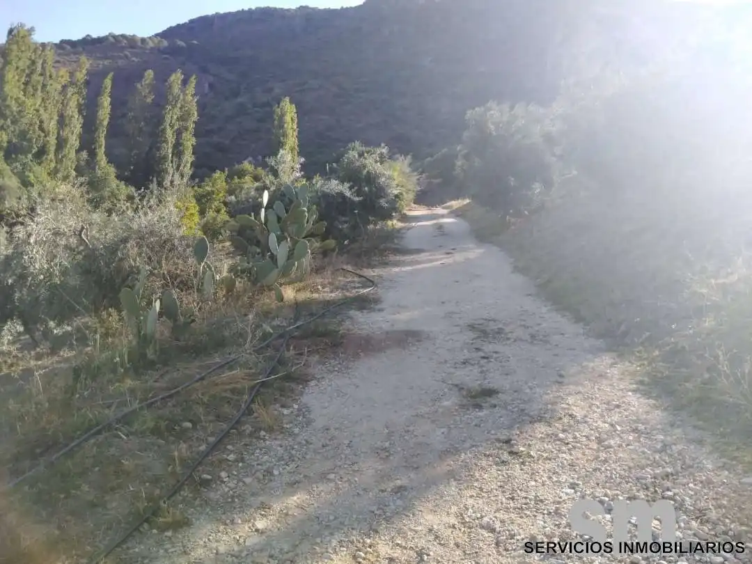Terreno en venta en Zahara