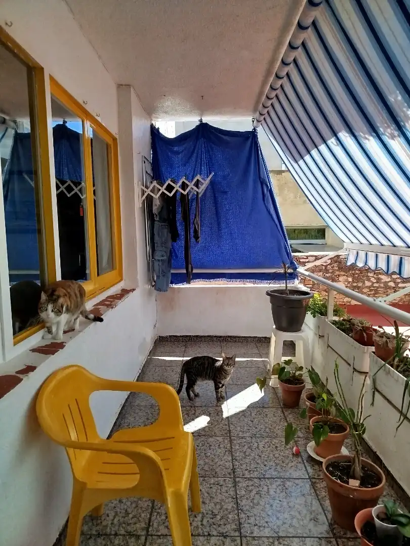 Terrasse von Wohnung zum Verkauf in Benicarló mit Terrasse, Möbliert und Balkon