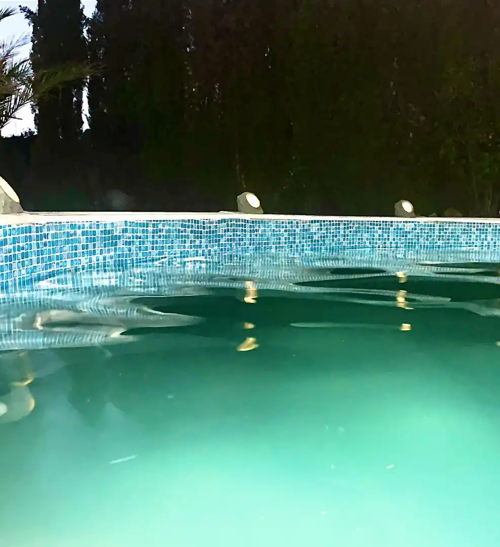 Piscina de Casa o chalet en venta en Peñarroya-Pueblonuevo con Jardín privado y Piscina