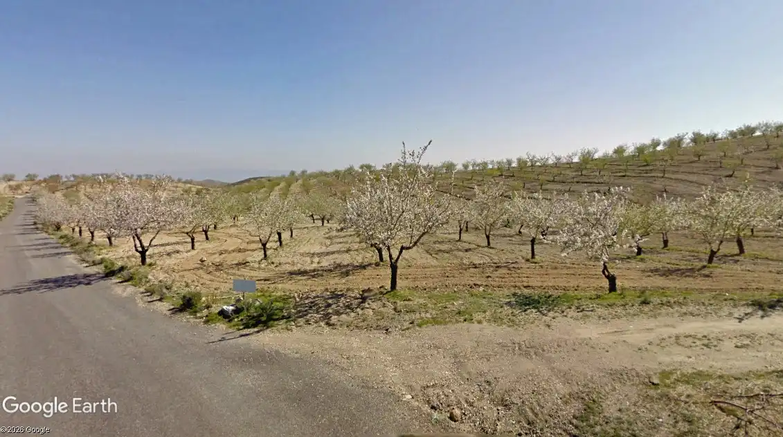 Terreno rustico in vendita a Taberno