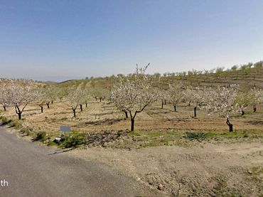 Terreno rustico in vendita a Taberno