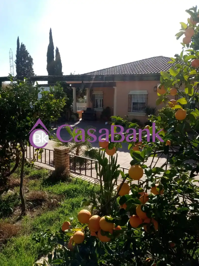 Houses for sale in Alcolea