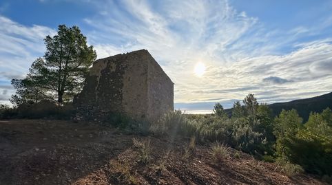Mas Sardí  Mas dAbella es una propiedad situada en Pratdip, en la región de Tarragona. Un entorno natural preservado en un terreno, immagine 3