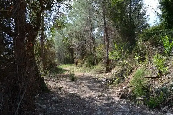 Terrenos y solares en venta en Beniardà, imagen 7