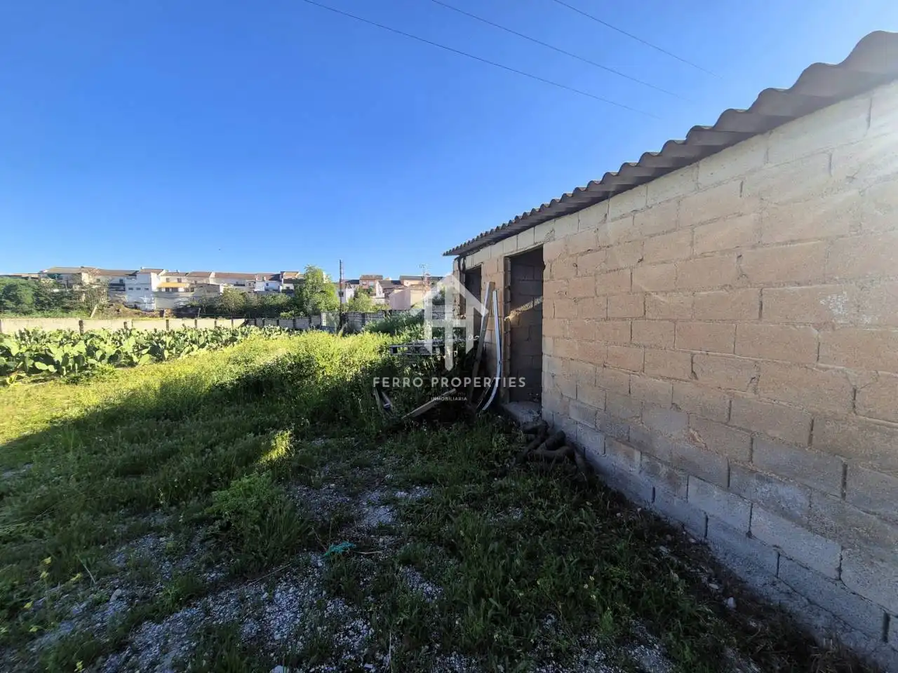 Terreny rústic en venda a Íllora, imagen 6