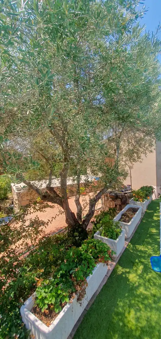 Jardín de Casa o chalet en venta en El Casar con Terraza, Trastero y Piscina