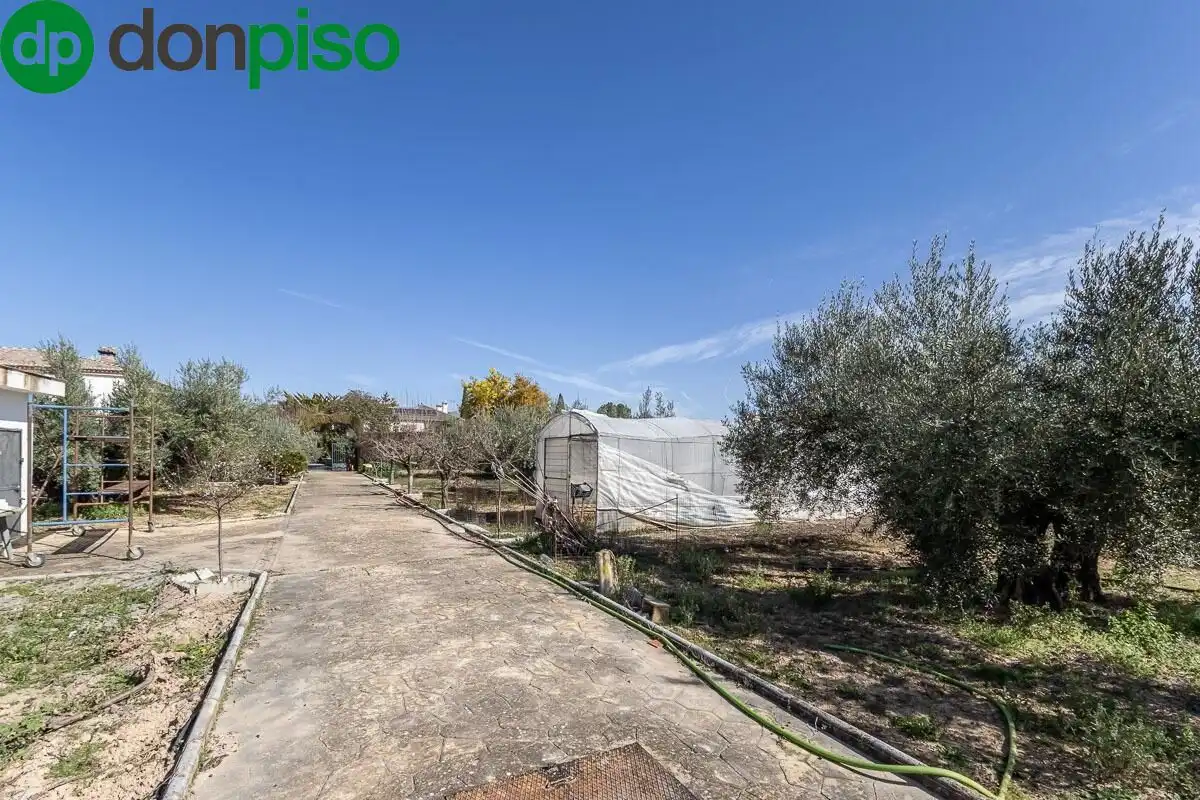 Xalet amb piscina en venda a Calle Olmo 127, imagen 37