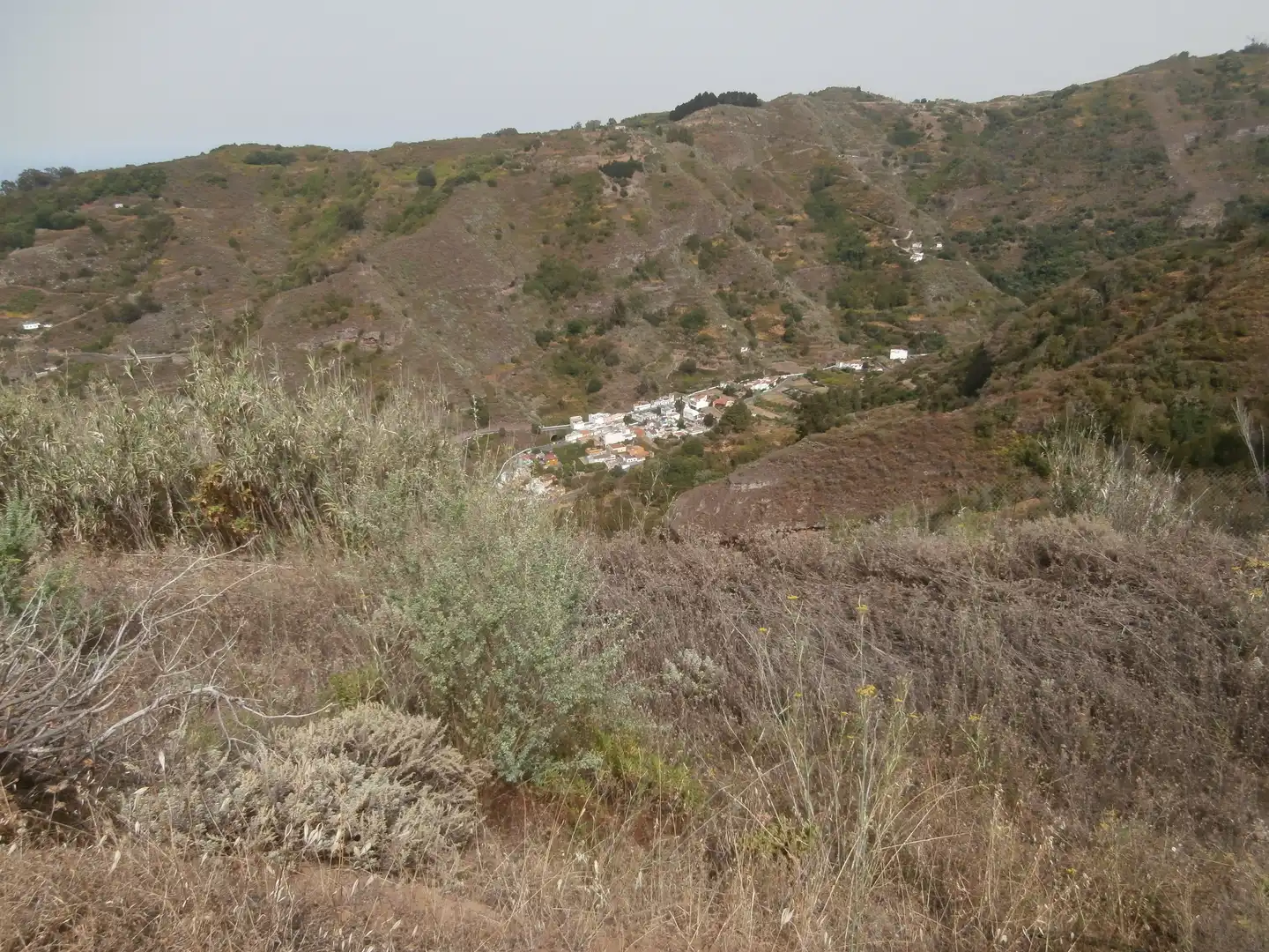 Finca rústica en venta en Camino Lomo el Marco, 41, Moya (Las Palmas)