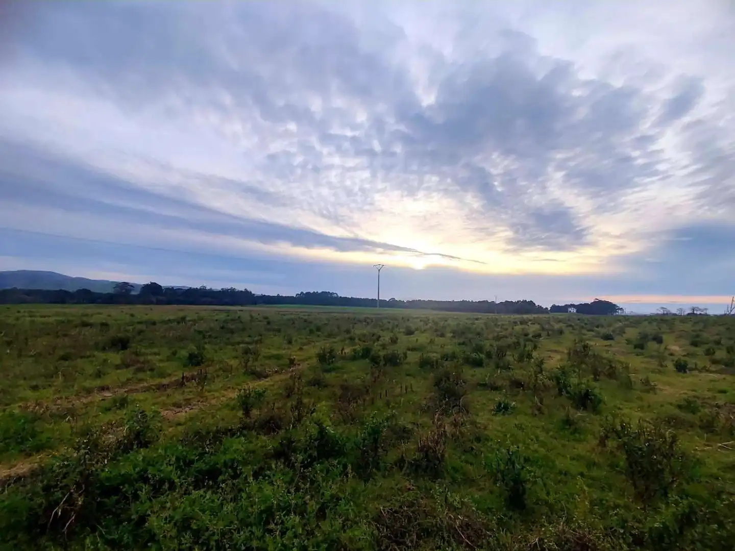 Terrain résidentiel à vendre à El Forcado, Campos y Salave, imagen 2