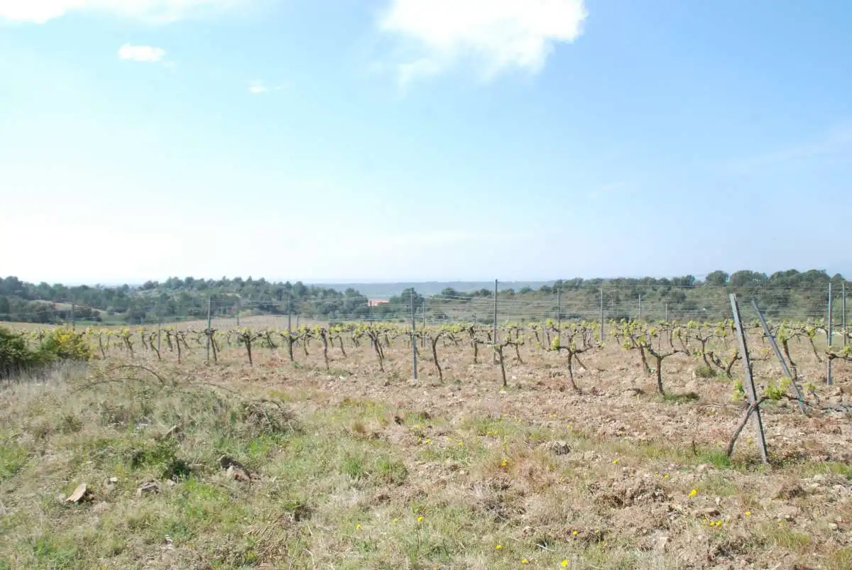 Lands and plots for sale in Garriguella, imagen 2