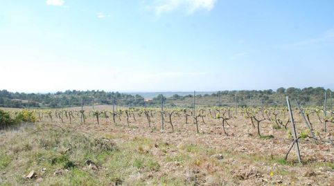 ltimas parcelas disponibles en Garriguella, immagine 2