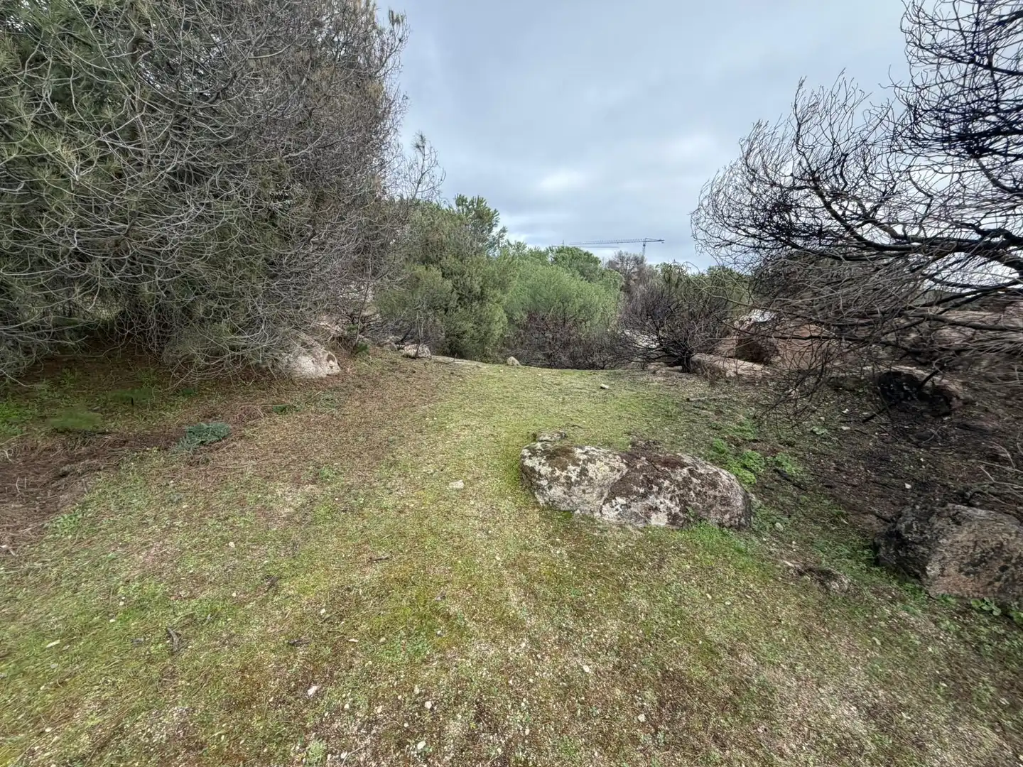 Residencial en venta en Torrelodones