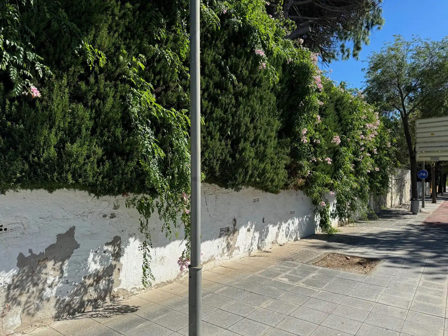 Terreny residencial en venda a Carrer Santiago Rusiñol 31, imagen 13