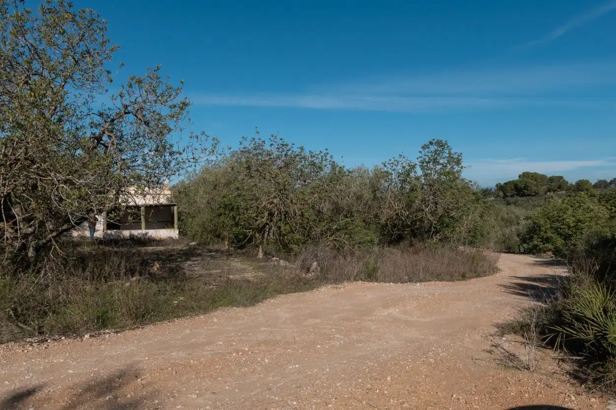 Country house for sale in El Perelló, imagen 10