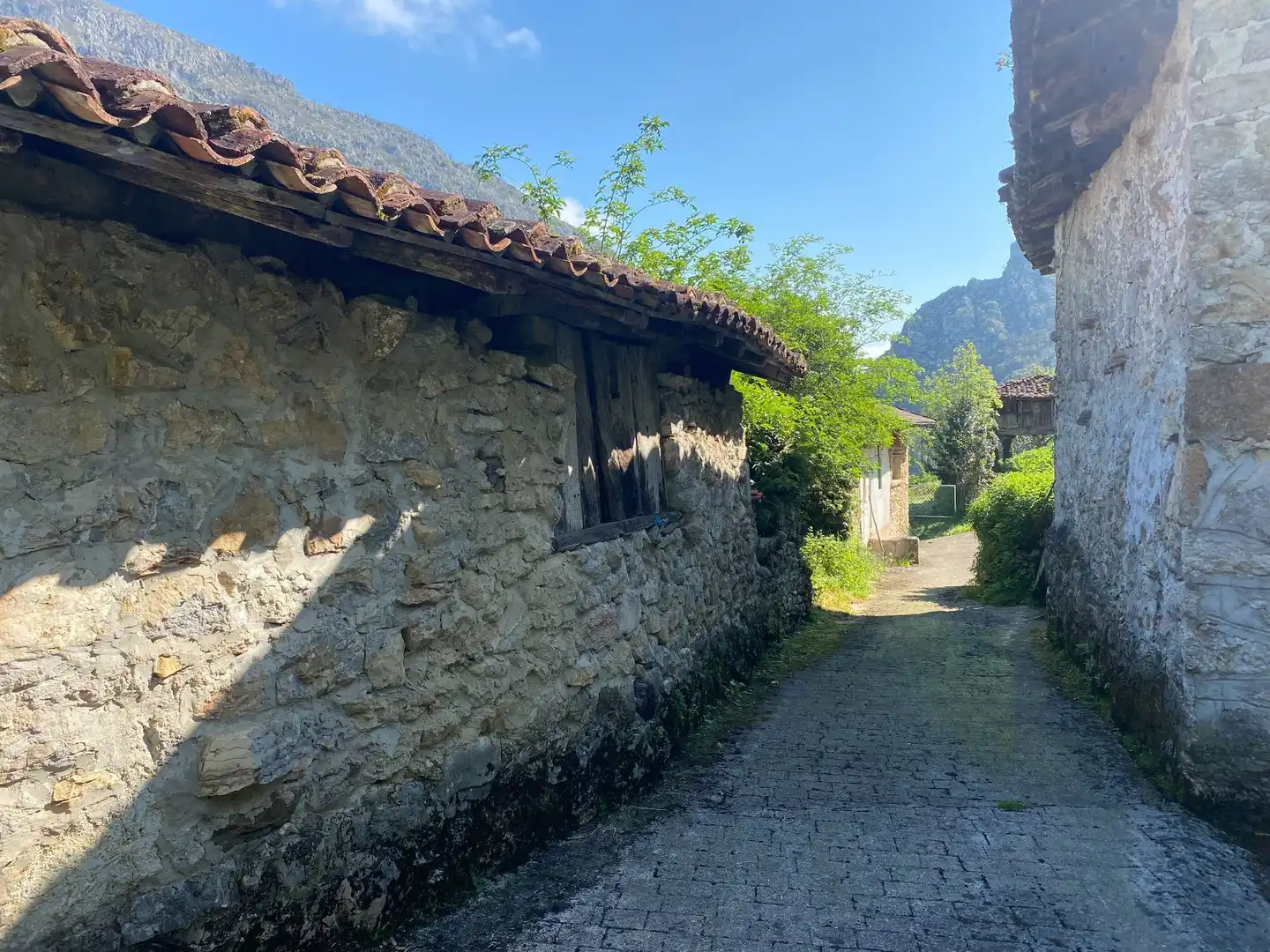 Maison à vendre à Tribierto, imagen 10
