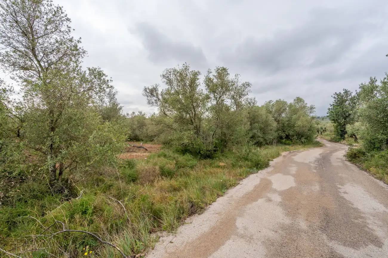 Terreno en venta en Mas de Barberans