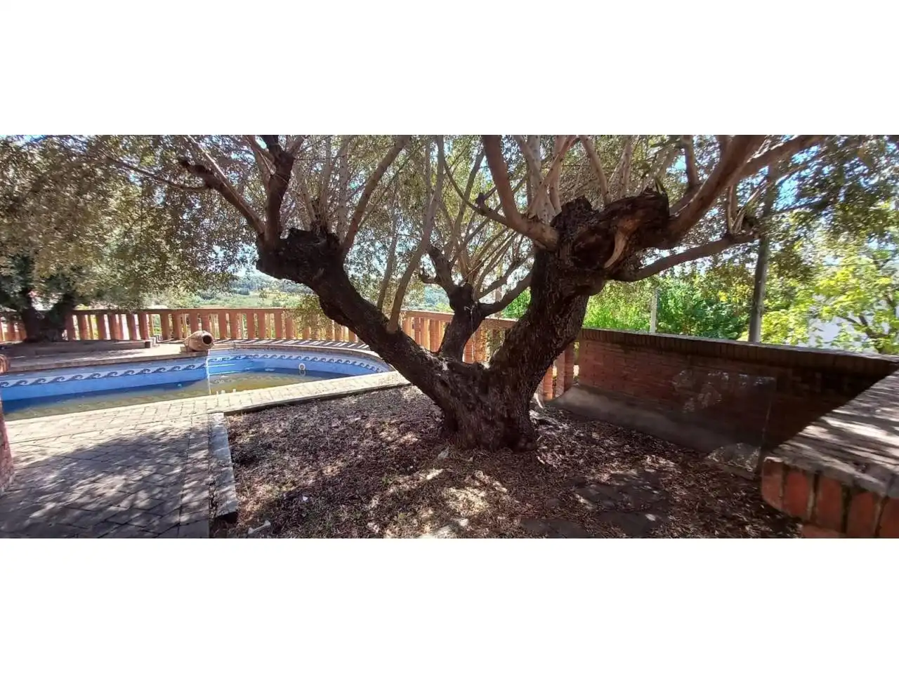 Jardí de Casa o xalet en venda en Caldes de Montbui amb Terrassa i Piscina