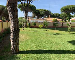 Jardí de Casa o xalet en venda en Conil de la Frontera amb Jardí privat, Terrassa i Piscina comunitària