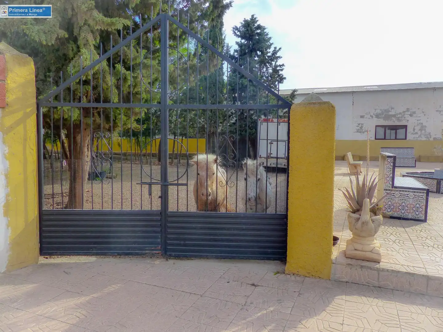 Vista exterior de Finca rústica en venda en Fuente Álamo de Murcia amb Calefacció, Jardí privat i Terrassa