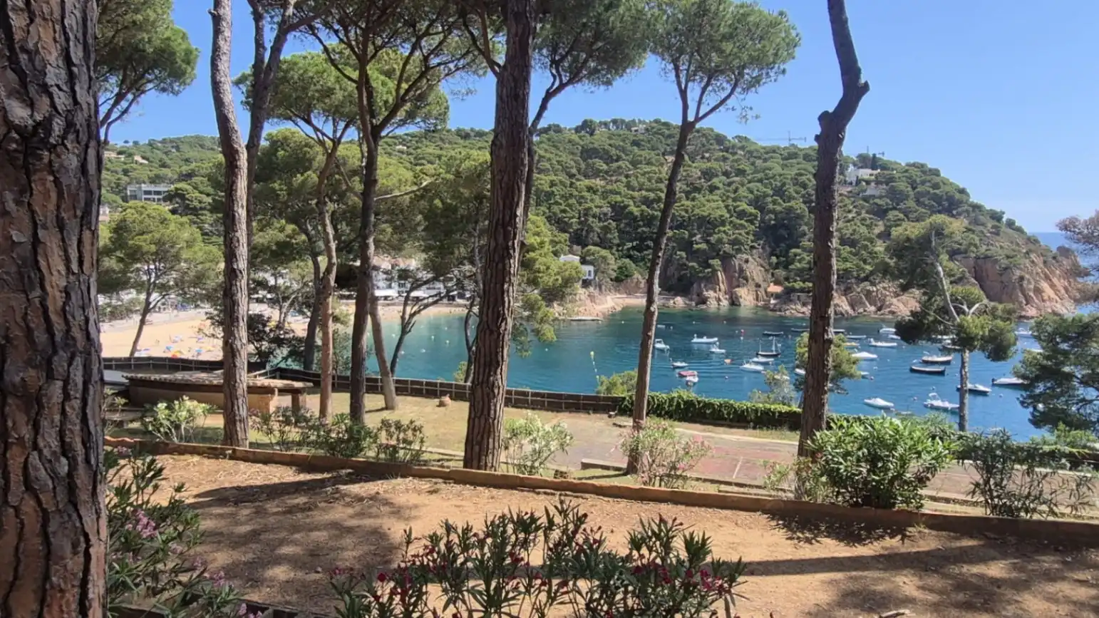 Jardí de Casa o xalet en venda en Palafrugell