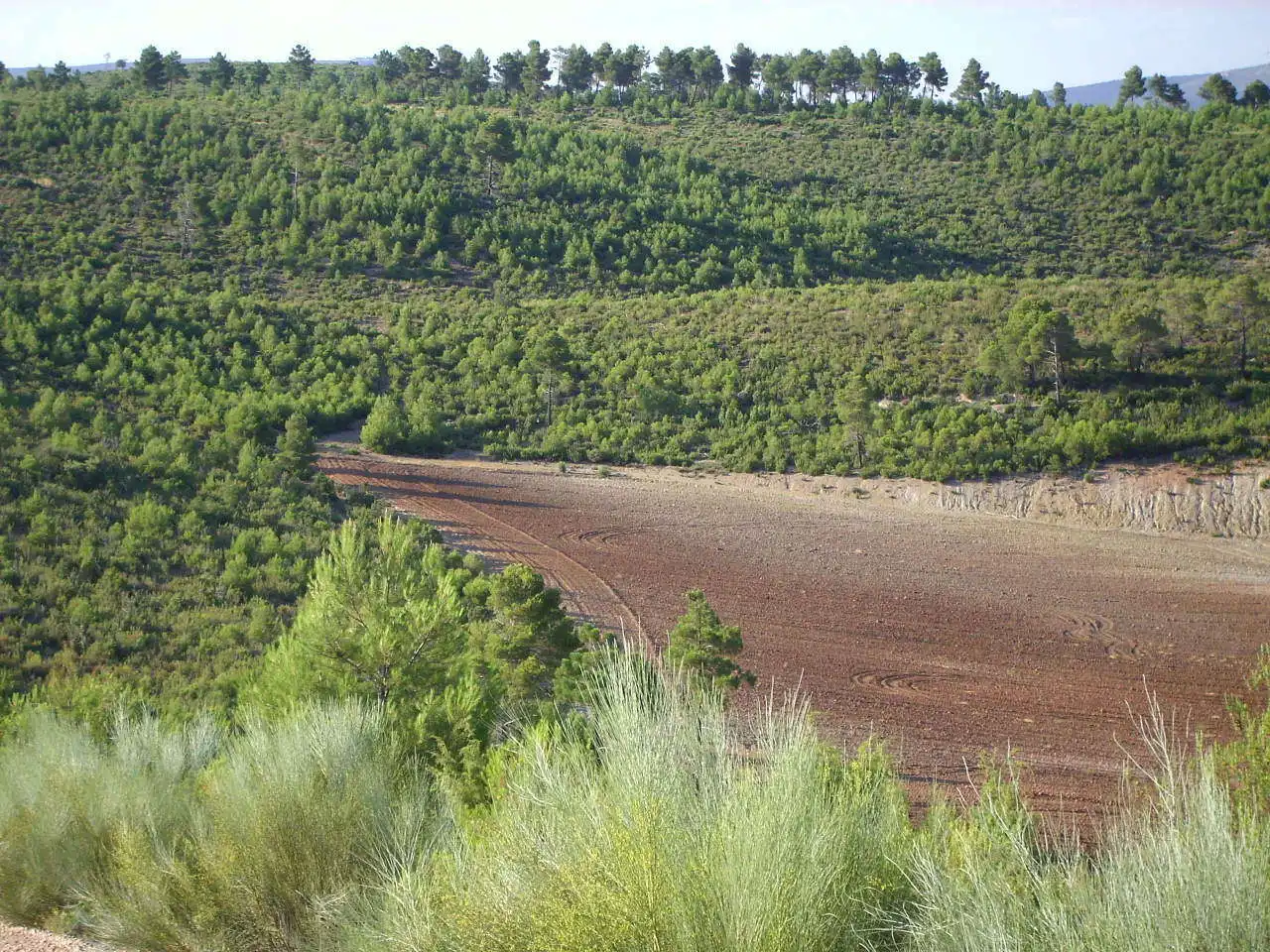 Terreni e lotti in vendita a Cardenete