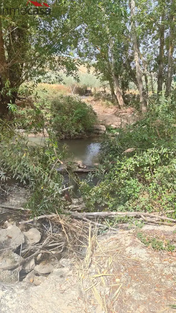 Rural land for sale in Santa Cruz del Comercio, imagen 27