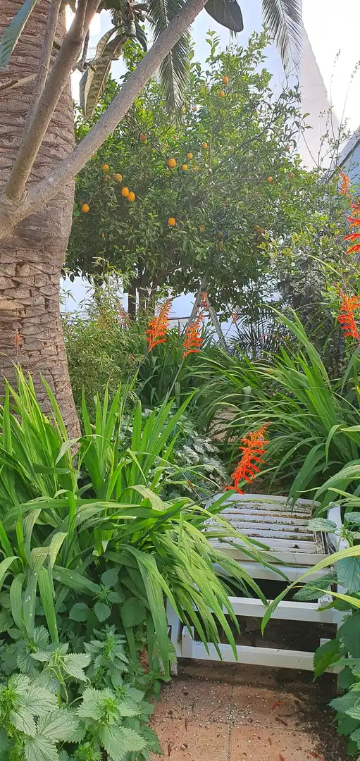 Garten von Wohnung zum Verkauf in Cáceres mit Heizung, Privatgarten und Schwimmbad
