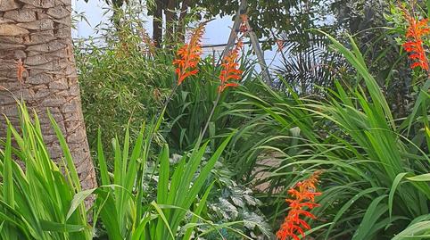 Foto 3 de Pis en venda a Calle Periodista Sánchez Asensio, Casco Antiguo, Cáceres