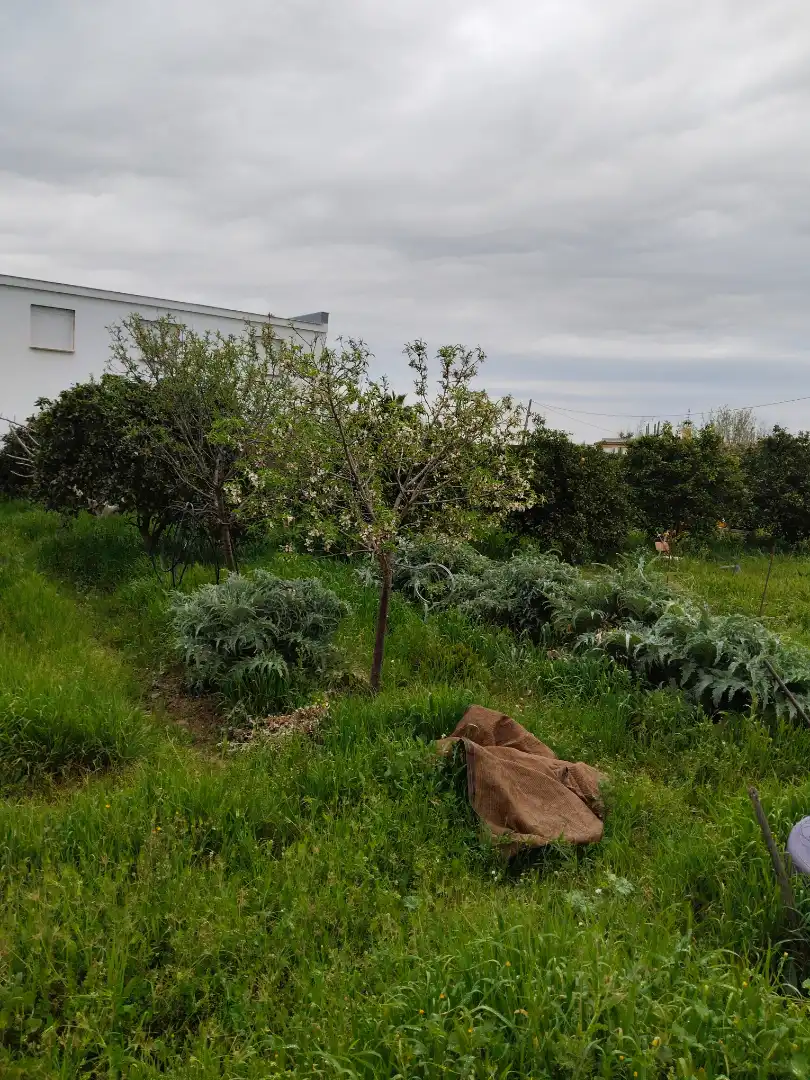 Terreno rustico in vendita a Alcalá del Río, imagen 9