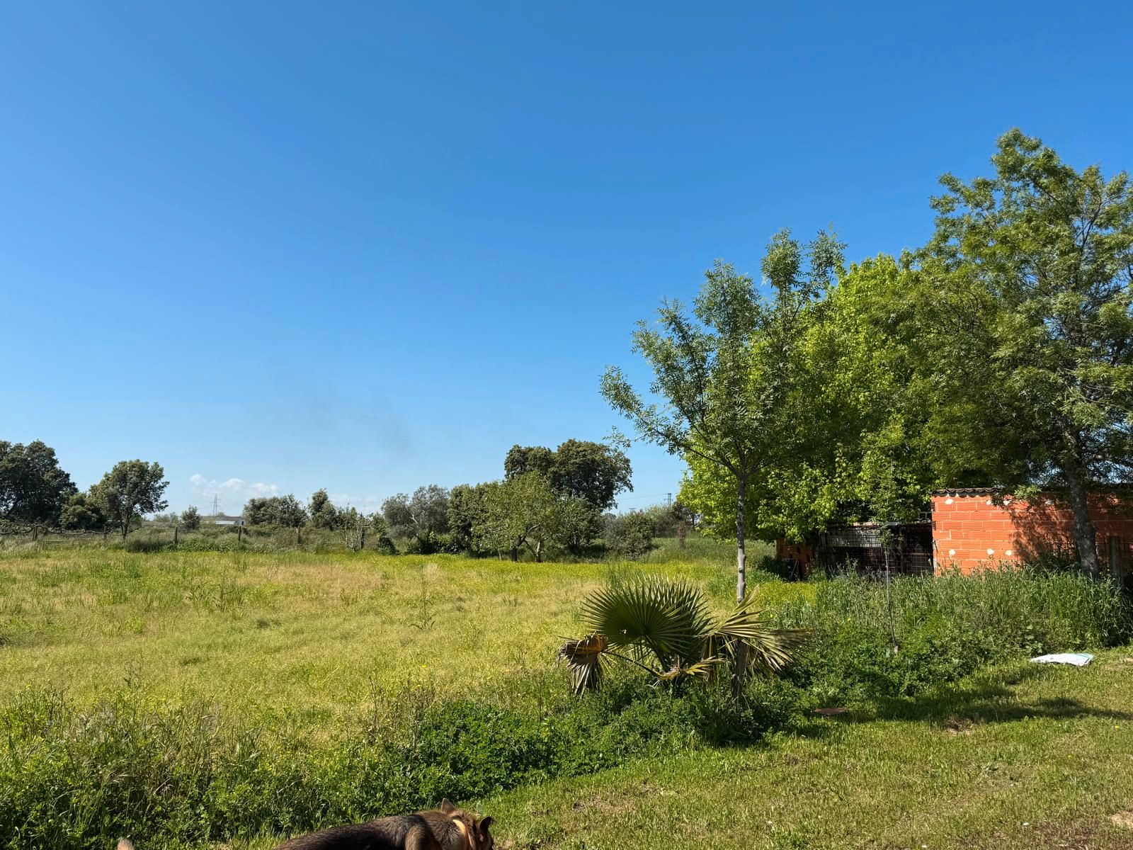 Land for sale in Carretera de Talavera la Nueva, Talavera la Nueva