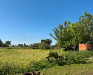 Land for sale in Carretera de Talavera la Nueva, Talavera la Nueva