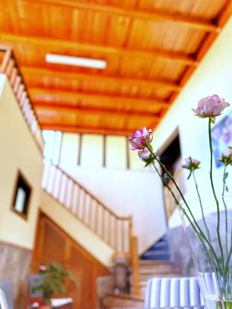 Villa avec terrasse à vendre à Calle el Pino 30, imagen 24