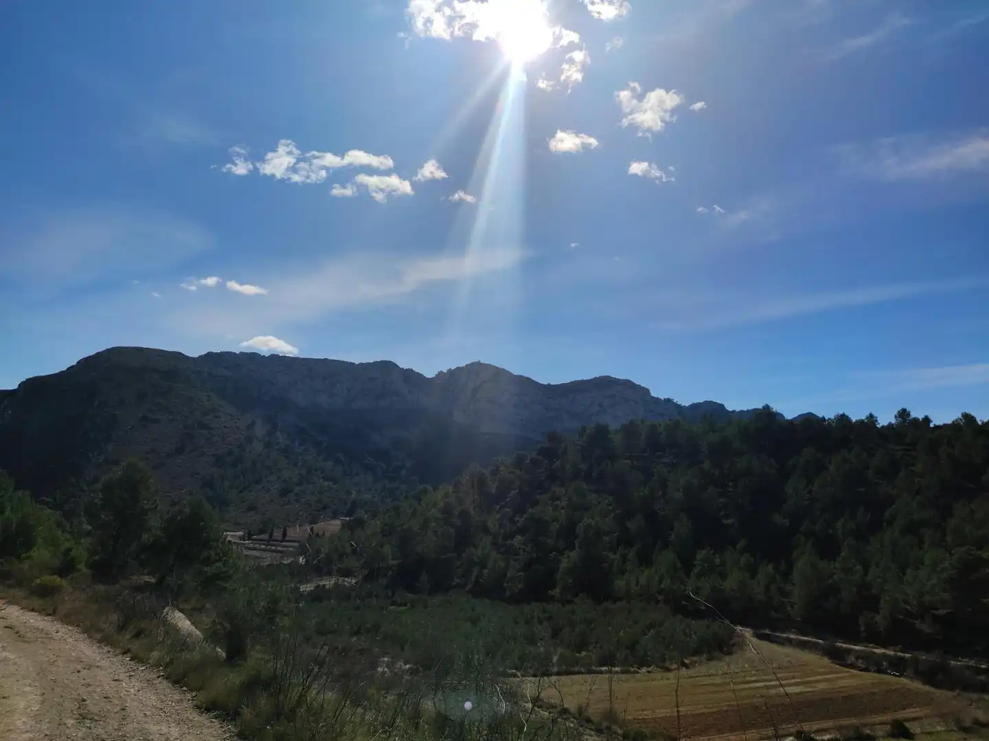 Land for sale in Benigembla
