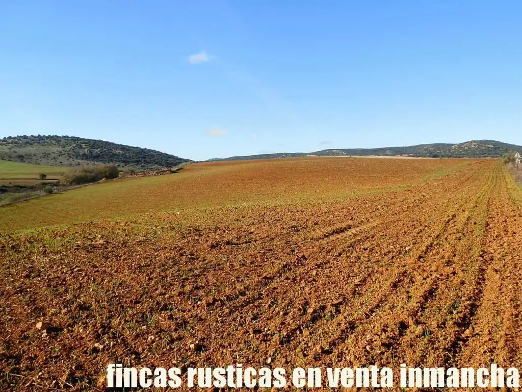 Terreno rustico in vendita a Centro - Plaza Mayor, imagen 8