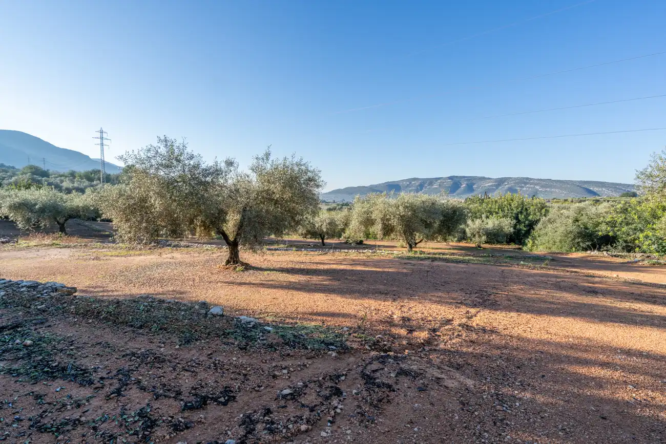 Country homes for sale in Freginals  with Air Conditioner, Terrace and Furnished