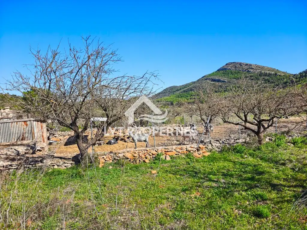 Casa o xalet en venda en Llíber