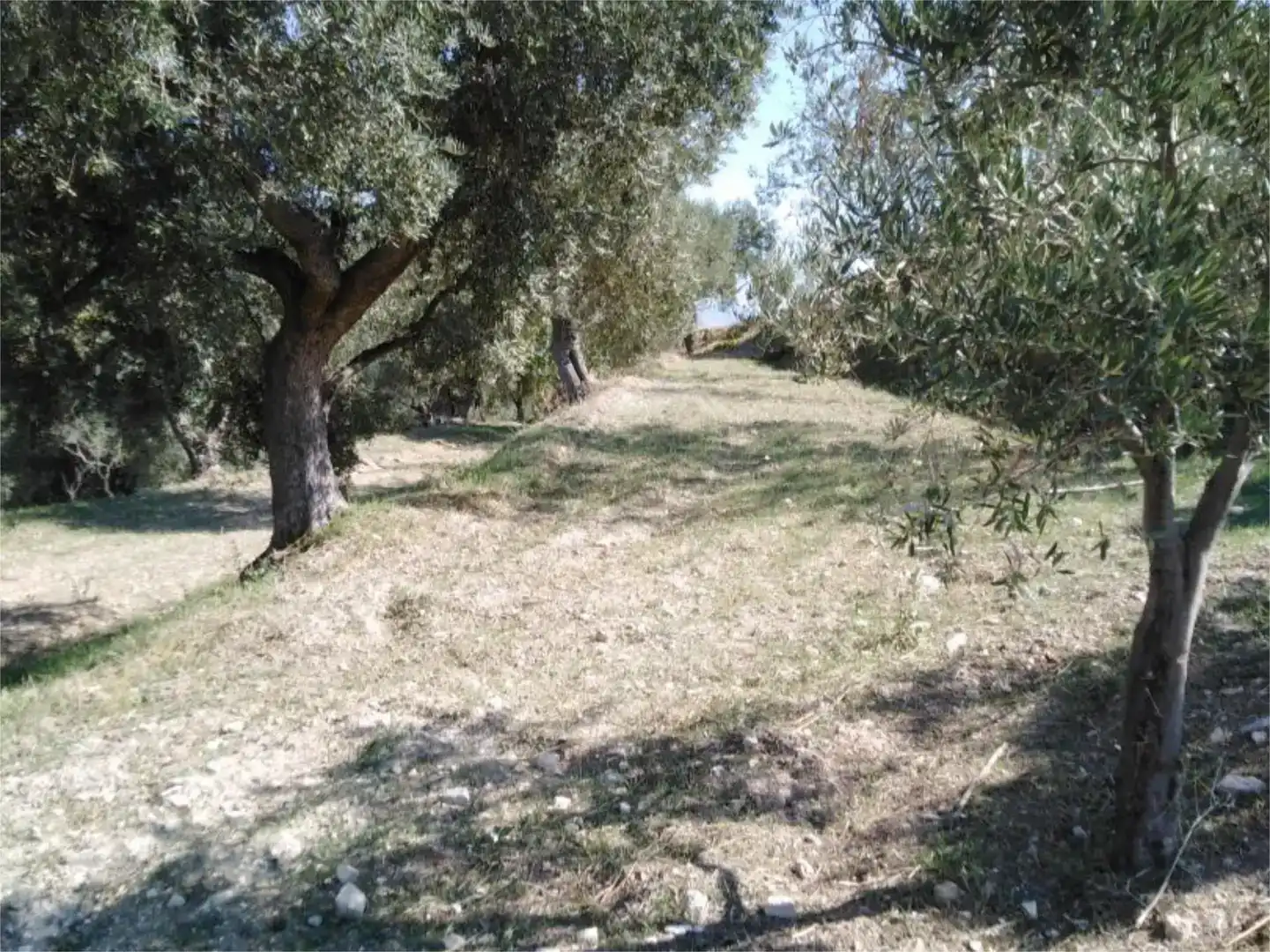 Finca rústica en venda en Lanjarón