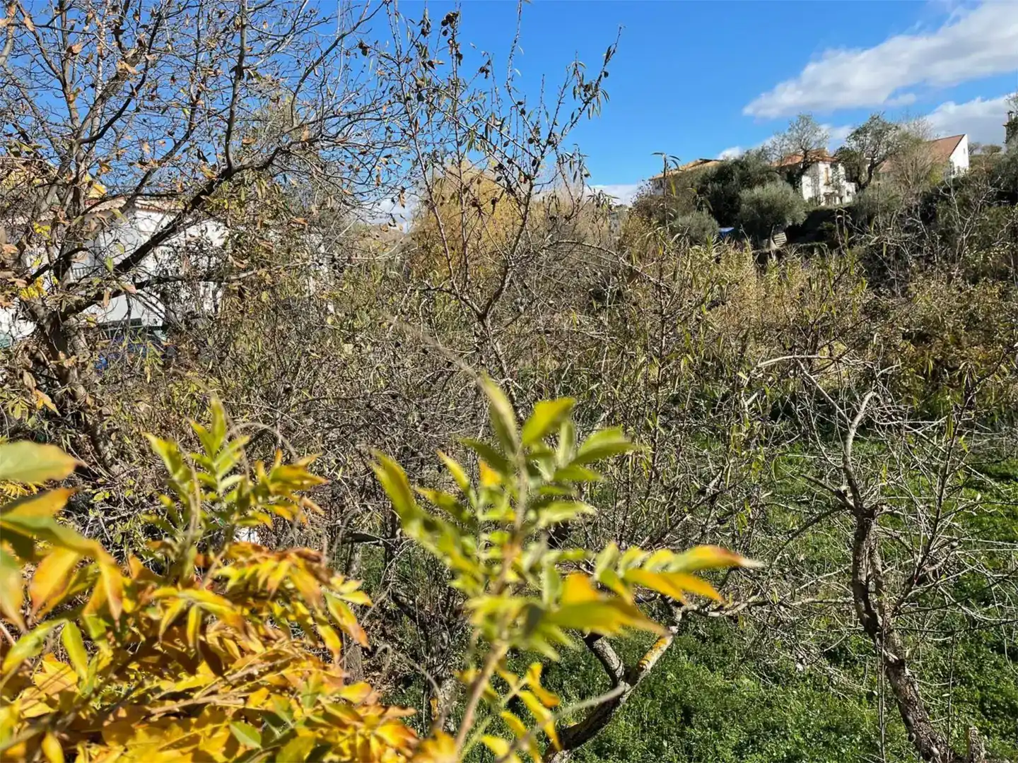 Casa o xalet en venda en Cádiar amb Balcó