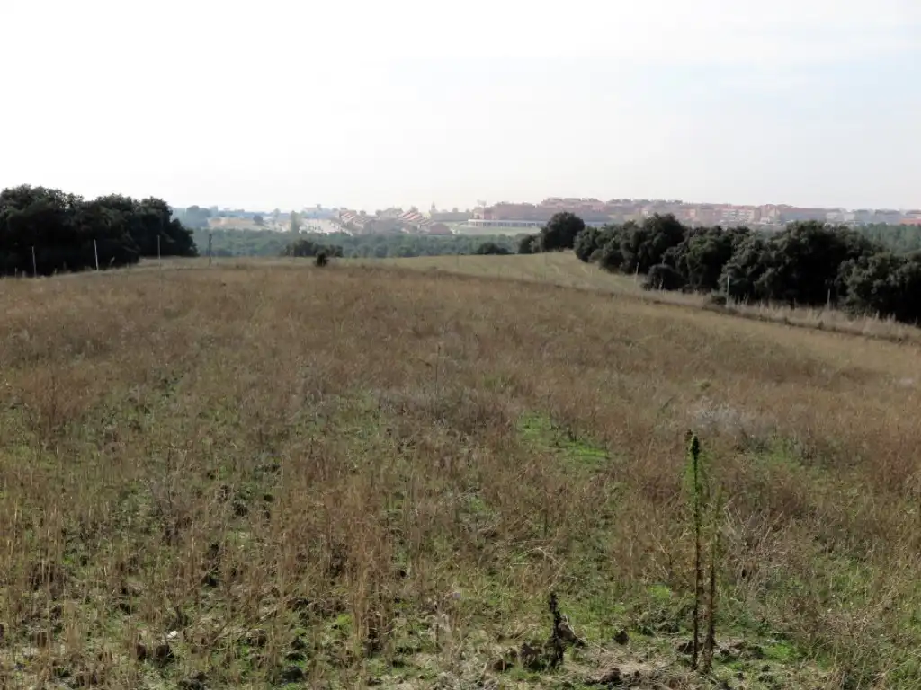 Casa o chalet en venta en Diseminados Camino Casa Roque, 294, La Dehesa - El Pinar