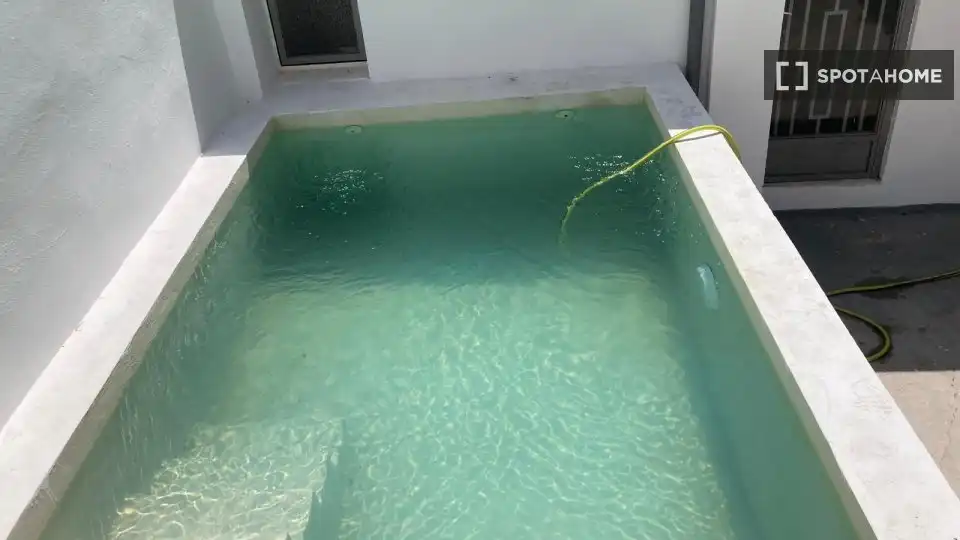 Piscina de Piso de alquiler en Alzira con Aire acondicionado, Calefacción y Amueblado