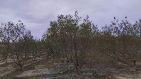 Photo 4 of Country house for sale in Totana, Murcia